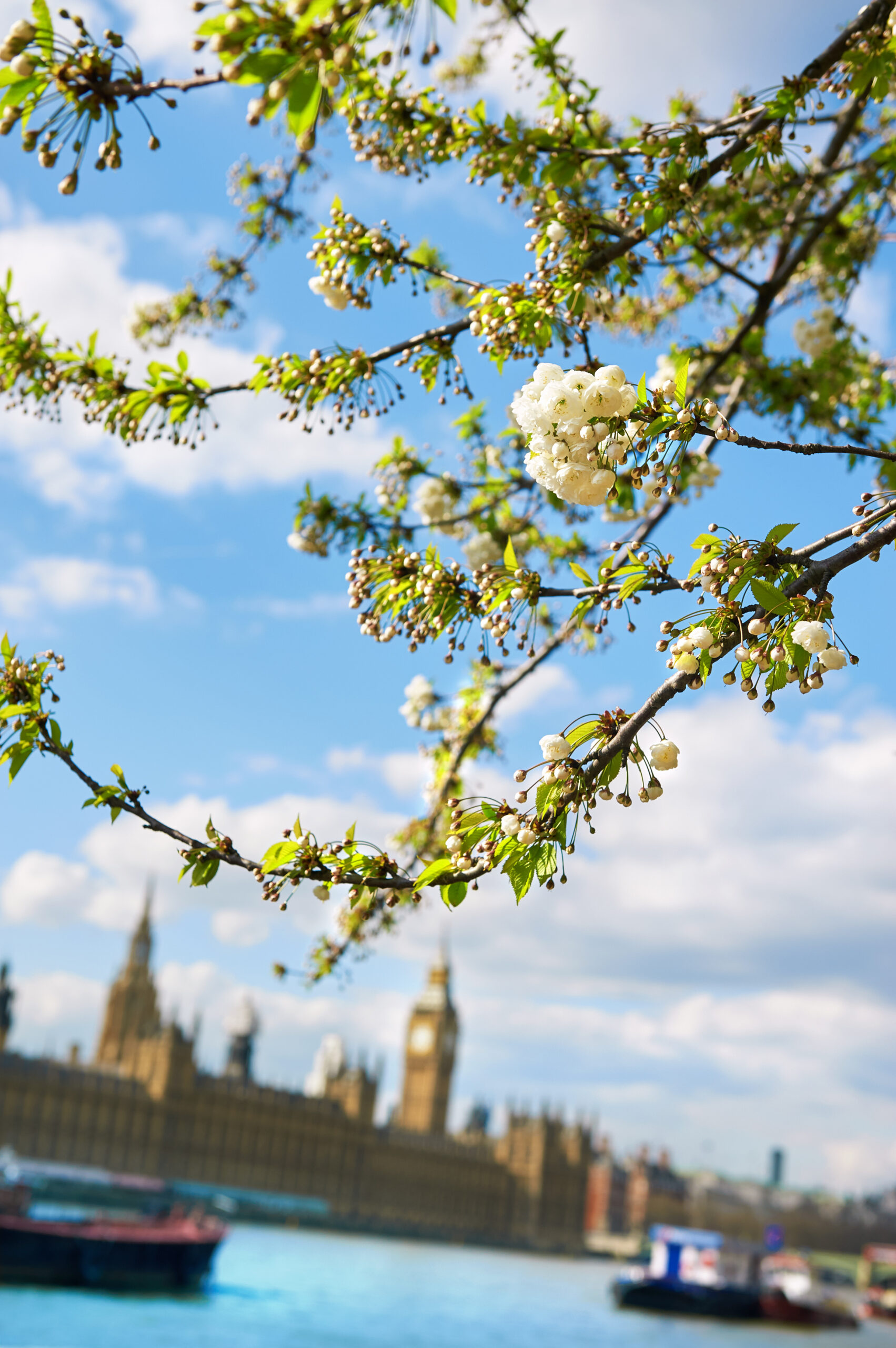 Spring cleaning: regulatory rebirth for principals and ARs